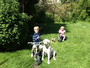 ben and elsie  with ice creams and waiting dogs